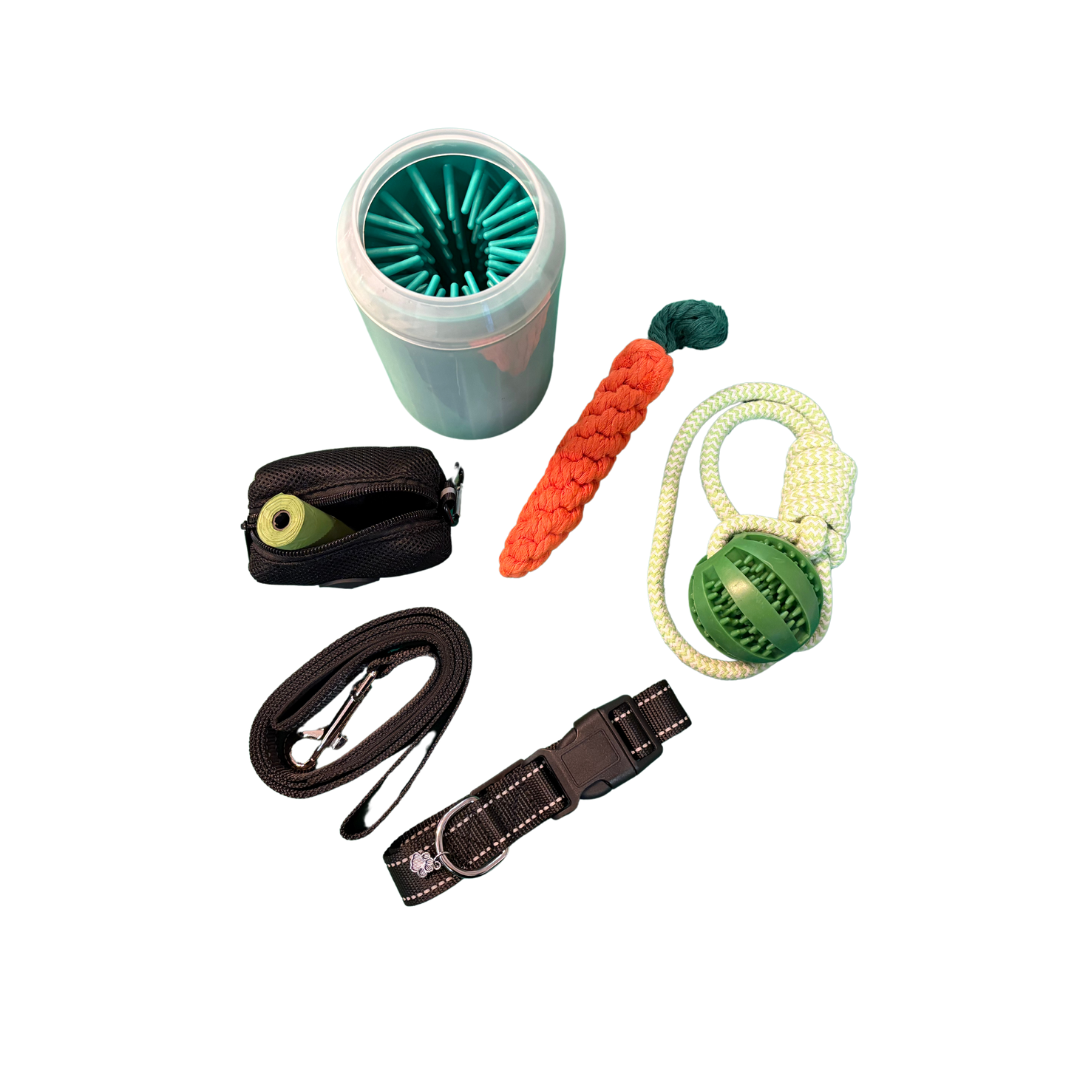 Kit para pasear perros grandes