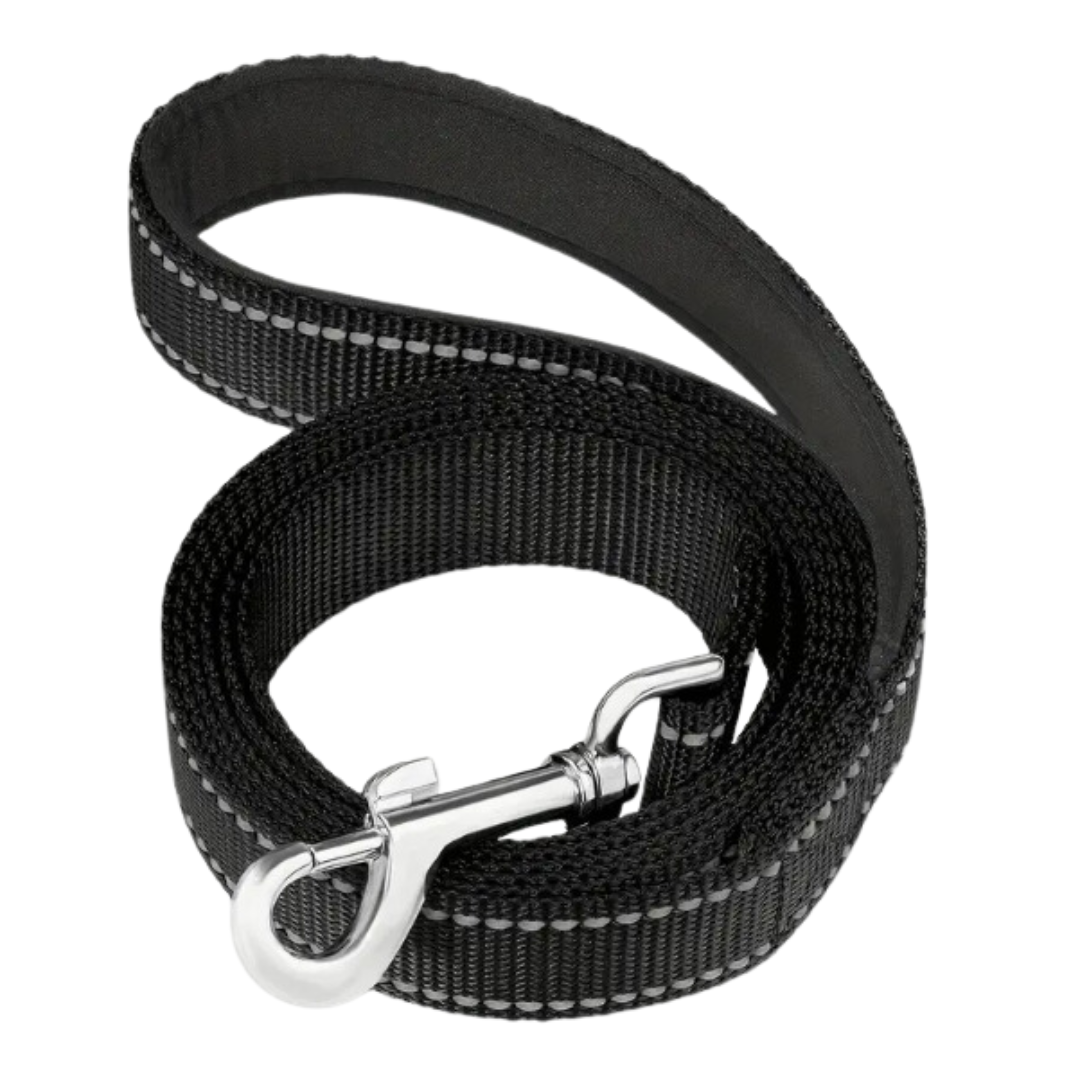 Kit para pasear perros grandes