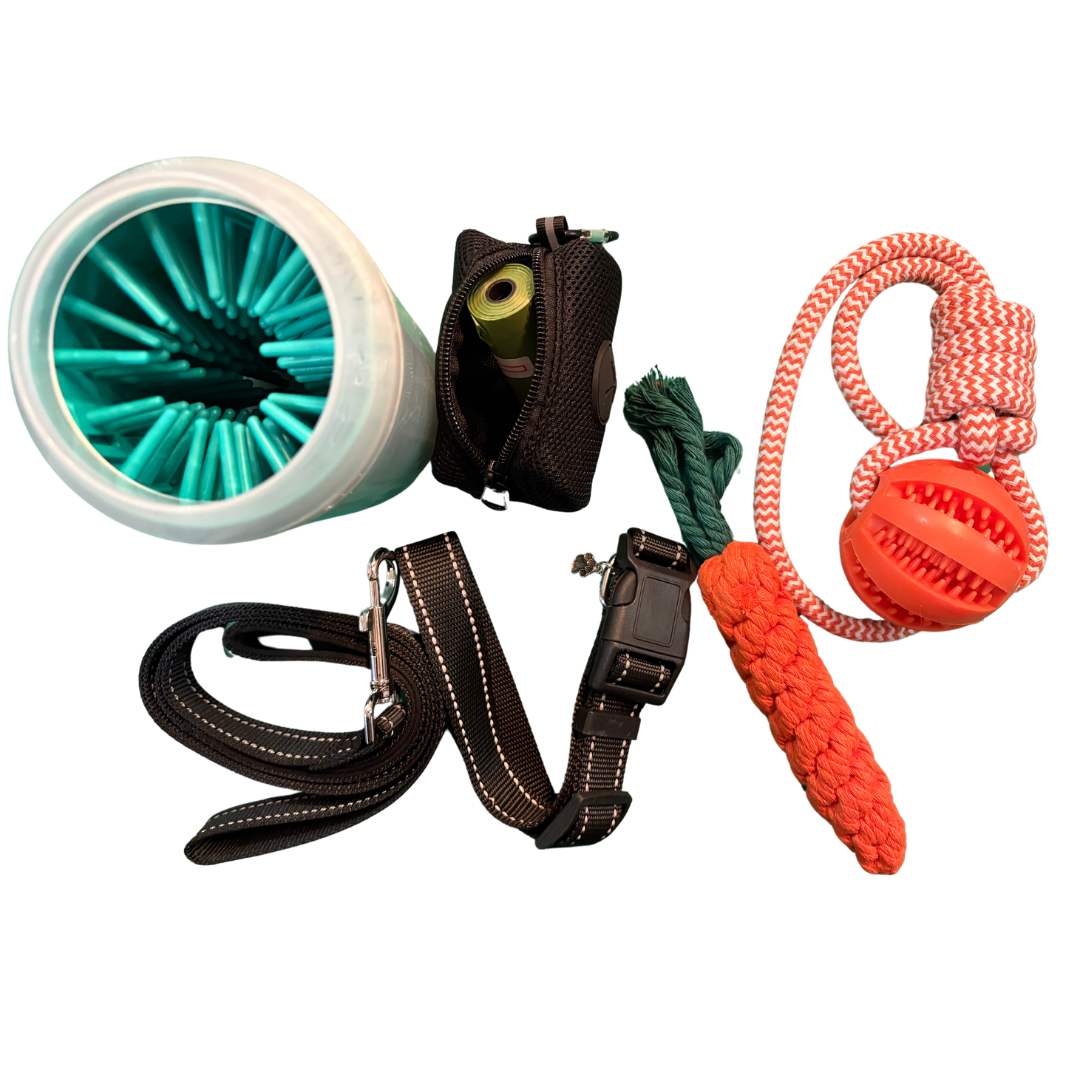 Kit de paseo para perros extragrande