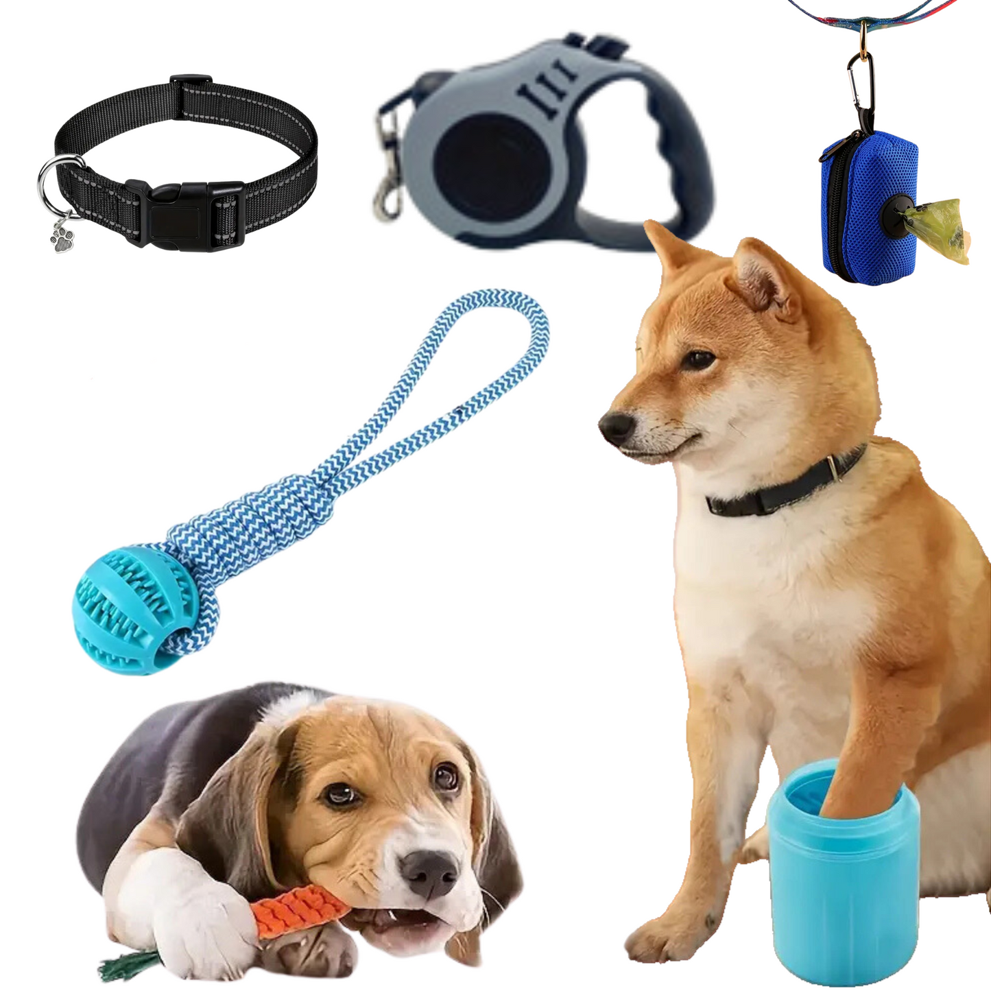 Kit para pasear perros pequeños