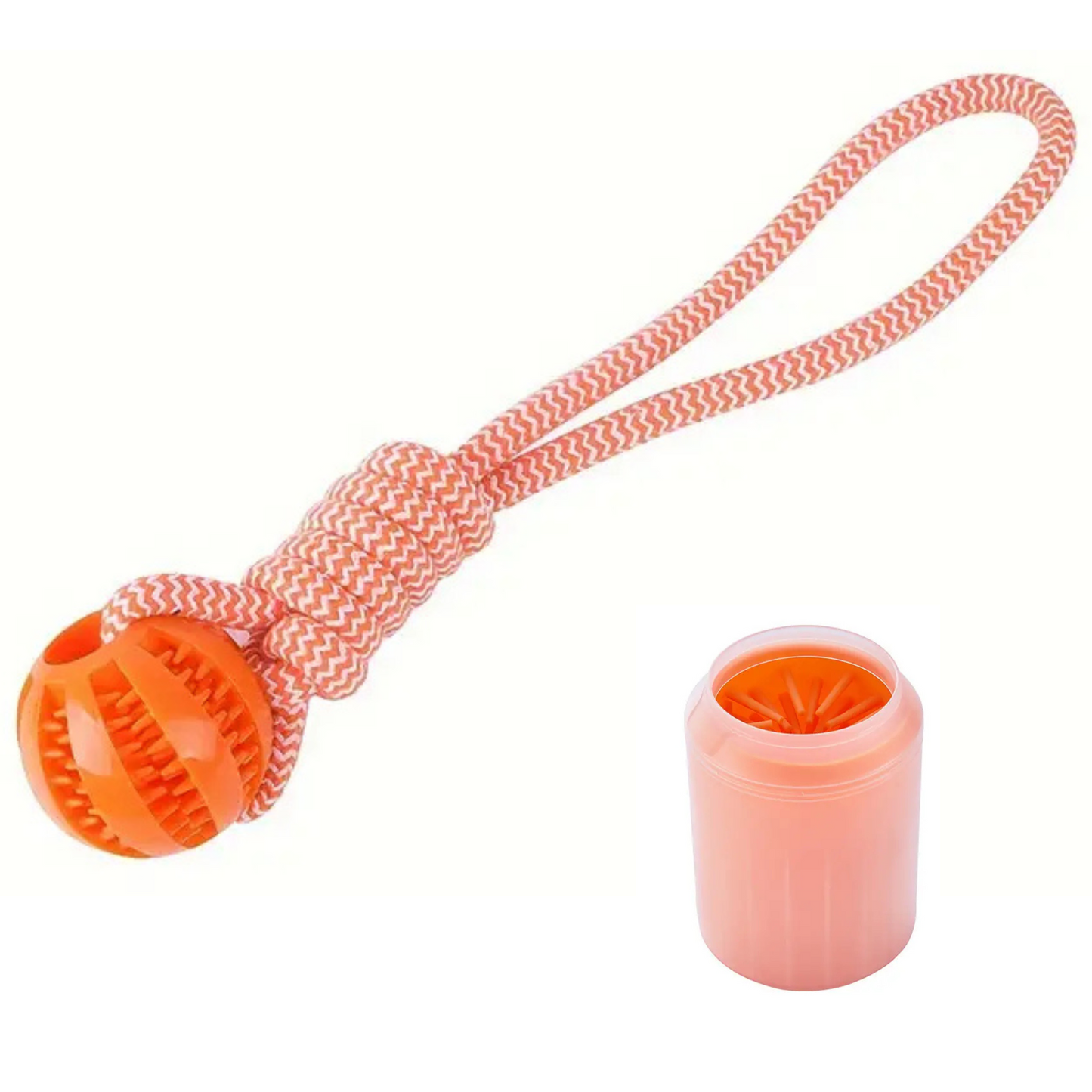 Kit para pasear perros pequeños