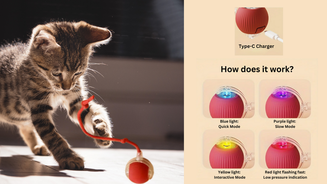 Interactive Electric CAT TOY with Sound – USB Rechargeable, Durable & Chew-Resistant Smart Ball