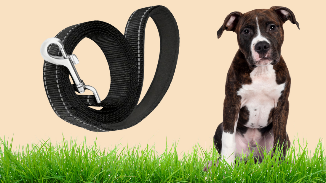 Reflective Polyester DOG LEASH – 5 Foot (152 cms), Soft Padded Handle for Comfortable Training & Walking