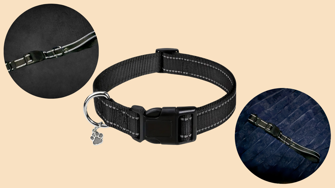 Reflective Striped Adjustable Nylon DOG COLLAR with Paw Pendant
