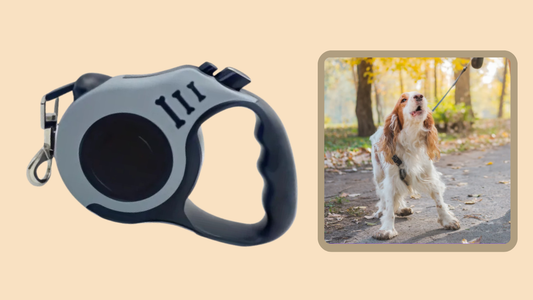 Durable Double Switch Retractable Pet LEASH for Dogs – Easy Control & Comfortable Grip