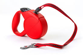 Retractable Leash