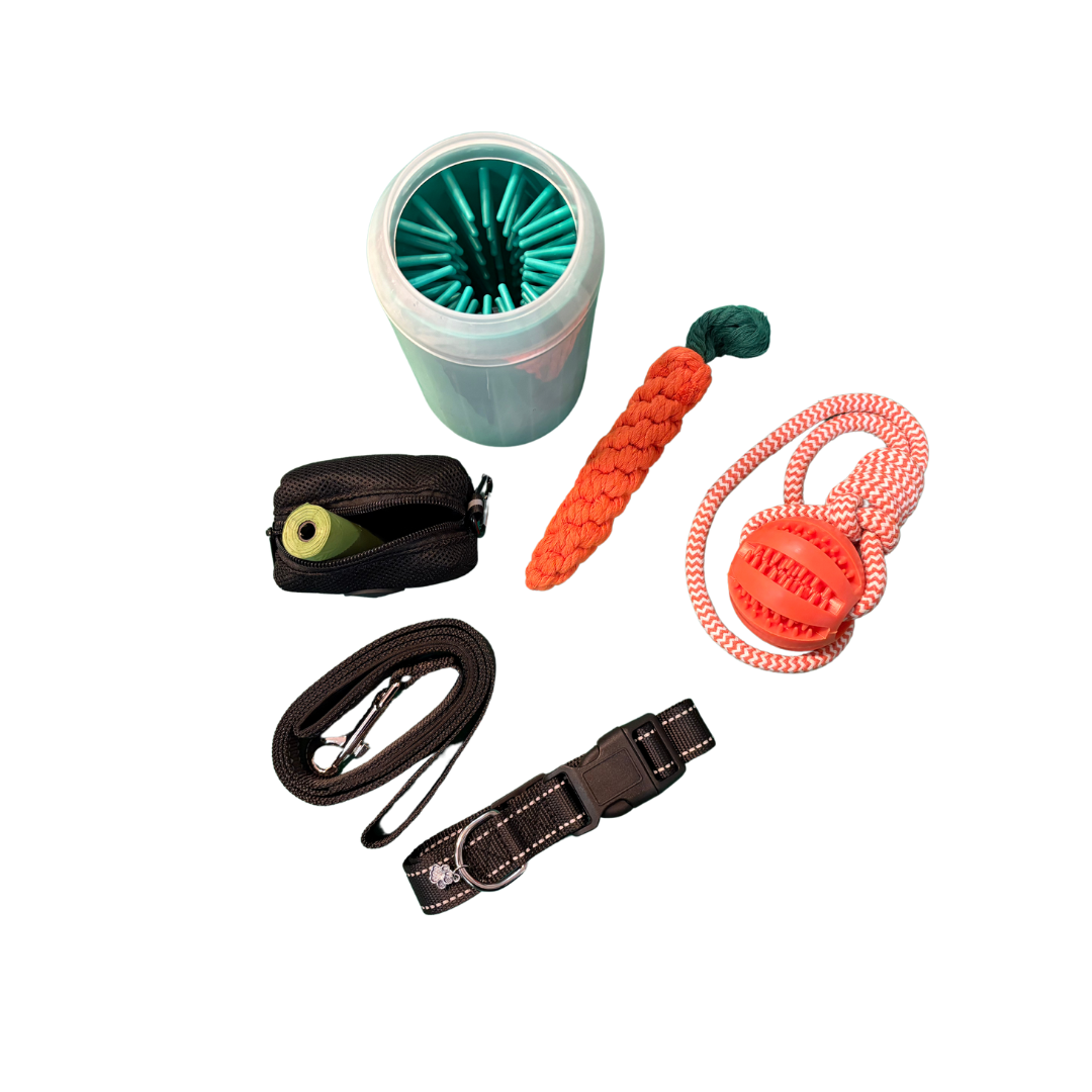 Kit para pasear perros grandes