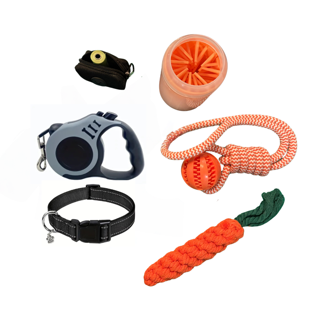 Kit para pasear perros pequeños