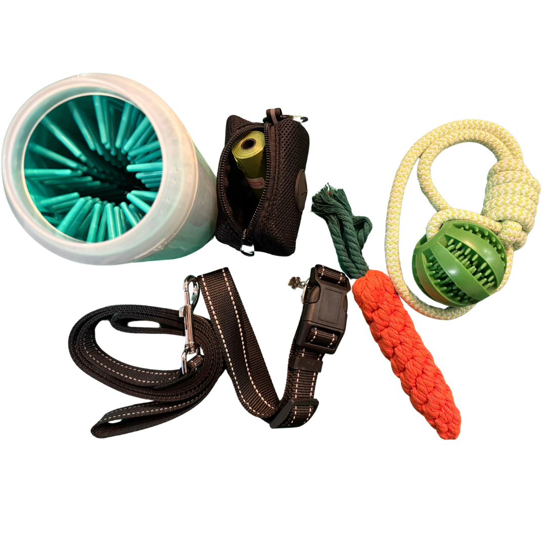 Kit de paseo para perros extragrande